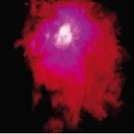 レコード｜Porcupine Tree (ポーキュパイン・ツリー)｜商品一覧