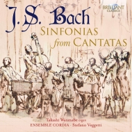 Хåϡ1685-1750/Sinfonias From Cantatas Veggetti / Ensemble Cordia (Organ)