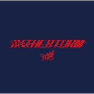 Royz/In The Storm (B)(+dvd)(Ltd)
