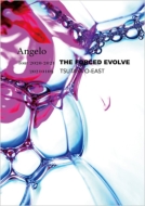 Angelo/Angelo Tour 2020-2021 The Forced Evolve