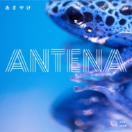 ANTENA/䤱