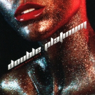 Various/Double Platinum T-groove Works Vol.2