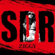 ZIGGY/Sdr (+dvd)(Ltd)