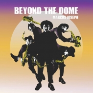 Beyond The Dome