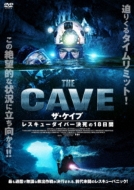 Movie/The Cave   쥹塼С18
