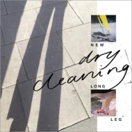Dry Cleaning/New Long Leg