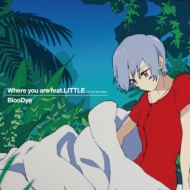 Where you are feat.LITTLE(KICK THE CAN CREW)【アニメ盤】(+DVD)