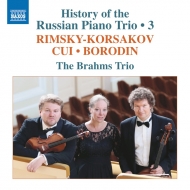 　オムニバス（室内楽）/The History Of Russian Piano Trio Vol.3-rimsky-korsakov Cui Borodin： Brahms Trio