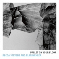 Becca Stevens  Elan Mehler/Pallet On Your Floor