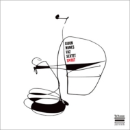 Gidon Nunes Vaz/Spirit