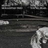 Ding Dong.You' re Dead.