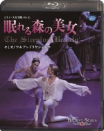 バレエ＆ダンス/Sleeping Beauty(Tchaikovsky)： Semionova Andrijashenko Scala Ballet