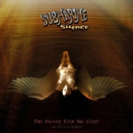 Submarine Silence/Did Swans Ever See God?