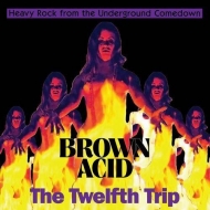 Various/Brown Acid The Twelfth Trip (Color Lp)