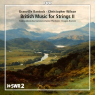 String Orchestra Classical/British Music For Strings Vol.2-bantock Christopher Wilson Bostock / Pf