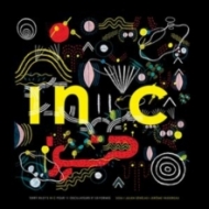 Julien Senelas / Jerome Vassereau/Terry Riley's In C Pour 11 Oscillateurs Et 53 Formes