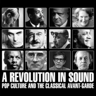 Various/A Revolution In Sound Pop Culture And The Classical Avant-garde