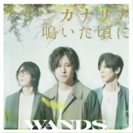 WANDS/ʥꥢĤ (Ltd)