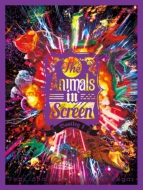 The Animals in Screen Bootleg 1 (Blu-ray)