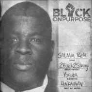 Salaam Remi/Black On Purpose (+dvd)