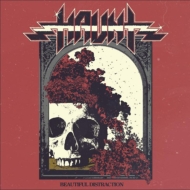 Beautiful Distraction