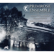 String Orchestra Classical/Primrose Ensemble： Ensemble A Cordes Ou L'alto Est Roi-villa-lobos Ponce