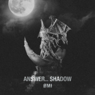 ANSWER...SHADOWy2021 RECORD STORE DAY Ձz(sN`[fBXNdl/12C`AiOR[h)