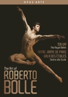 The Art of Roberto Bolle -Sylvia, Notre Dame de Paris, Gala des Etoiles (3DVD)