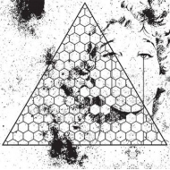 Betrayed In The Octagon (Crystal Clear Vinyl, Indie-exclusive)