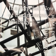 Rosa Barba / Chad Taylor/In A Perpetual Now Of Instantaneous Visibility (Ltd)