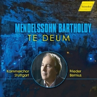Te Deum, Etc: Bernius / Kammerchor Stuttgart Engels-benz(Organ)