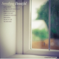 Various/Something Beautiful (Ltd)
