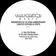 Teflon Dons/Rudiments Ep (25th Anniversary)(Ltd)