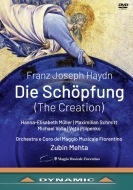 ϥɥ1732-1809/Die Schopfung Mehta / Fiorentino Maggio Musicale H-e. muller M. schmitt Volle Pilipen