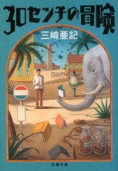 30�Z���`�̖`�� ���t����