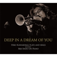 Hiro/Deep In A Dream Of You