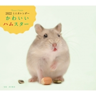ハムスター 本 Hmv Books Online ハムスター 本 Hmv Books Online