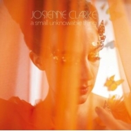 Small Unknowable Thing