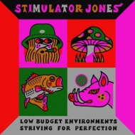 Stimulator Jones/Low Budget Environments Striving For Perfection