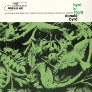 Byrd In Flight