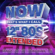 Now That's What I Call 12'' 80s: Extended