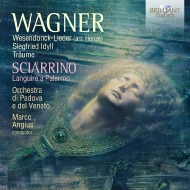 ワーグナー（1813-1883）/Wesendonk Lieder Siegfried Idyll： Mingardo(A) Angius / Padova E Del Veneto O +scia