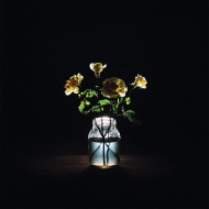 Billy Strings/Renewal