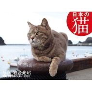 2022�N�J�����_�[ ���{�̔L