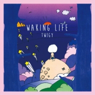 TWIGY/Waking Life