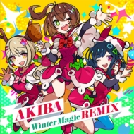 Ų/Ų Akiba Winter Magic Remix