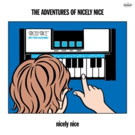 The adventures of nicely nice�y2021 ���R�[�h�̓� ����Ձz(�A�i���O���R�[�h)