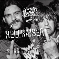 Hellraiser (10インチアナログレコード)