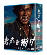 Taiga Drama Seiten Wo Tsuke Kanzen Ban 2 Blu-Ray Box