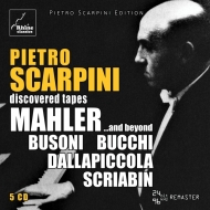 ԥκʽ/Scarpini Mahler  Beyond